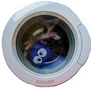 brainwash